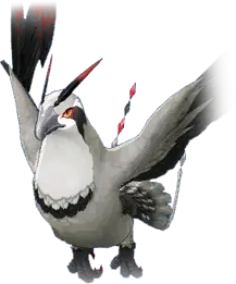 Kaiser Pigeon