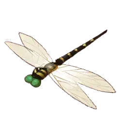 Raiden Dragonfly