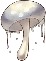 Jellyfish Mushroom