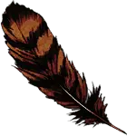 Eagle Feather