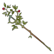 Lifetree Staff