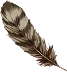 Mountain Feather