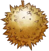 Spiky Fruit