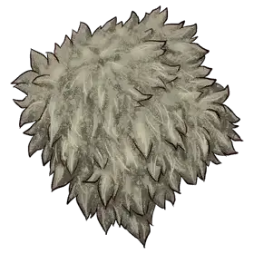 Animal Hide