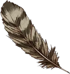 Griffon Feather
