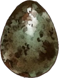 Unknown Egg