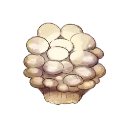 群生蘑菇