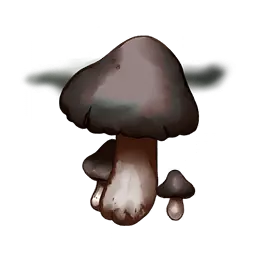 Crispy Mushroom