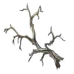 Rotting Arbor Twig
