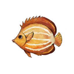 Elder Fish