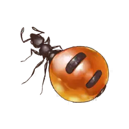 Honeypot Ant