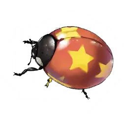 Star Ladybug