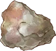 サンゴ石
