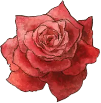 Delphi Rose
