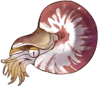Dragonpalace Nautilus