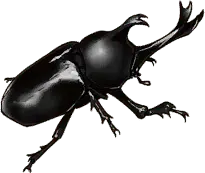 Giant Beetle
