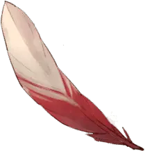Giant Bird Feather