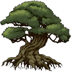 千年樹の幼木