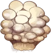 군체 버섯