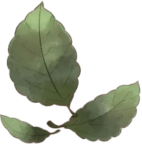 Rosen Leaf