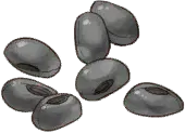 Stone Seeds