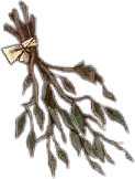Dried Herbs