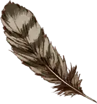 Mountain Bird Feather