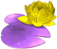 Hermit Lotus