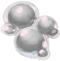 Silver Puniballs