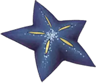 海の星